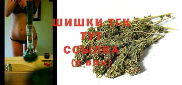 PSILOCYBIN Абдулино