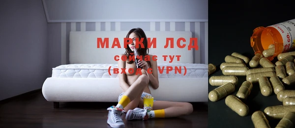 ПСИЛОЦИБИНОВЫЕ ГРИБЫ Абаза