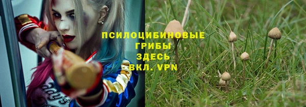 хмурый Абинск