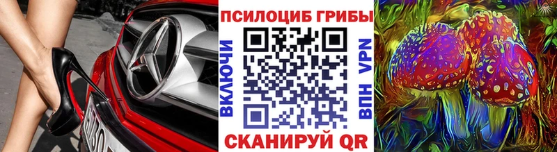 магазин    Эртиль  Галлюциногенные грибы прущие грибы 